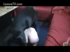 Doggy sex that is hard and oozes Latina cookie